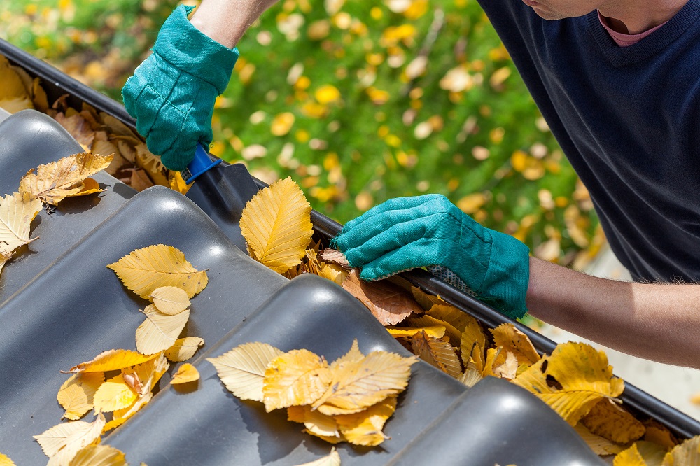 Service de nettoyage de gouttières - C mon jardinier