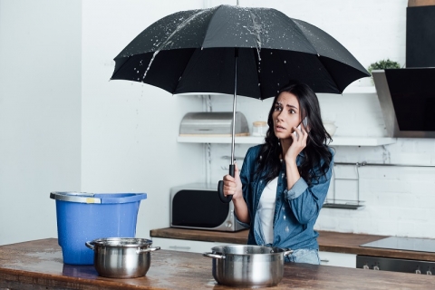 Assurance Degat Des Eaux Locataire Ou Proprietaire Degat Des Eaux Cambriolage Faut Il Solliciter Votre Assurance Habitation Ou Celle De Votre Proprietaire Lefeuvre Immobilier
